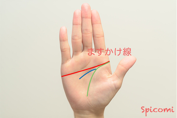 ［手相占い］ますかけ線で別に知能線がある場合の意味