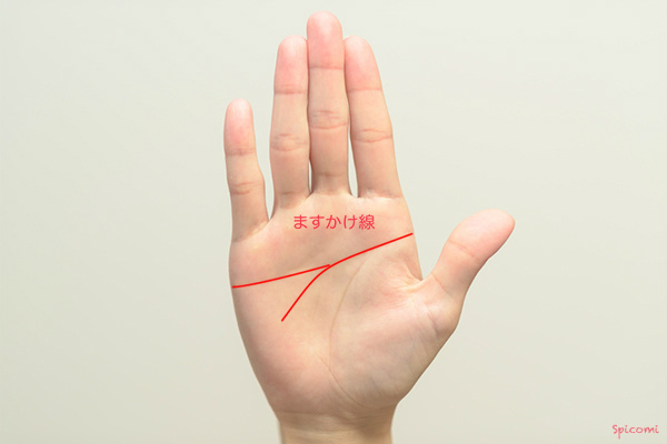 ［手相占い］ますかけ線の知能線が下向きで合流している場合の意味