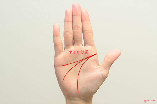 ［手相占い］ますかけ線で生命線・知能線・感情線が一点で重なる場合の意味