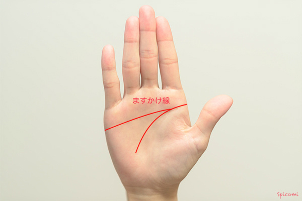 ［手相占い］ますかけ線で直線的な感情線が知能線に合流している場合の意味