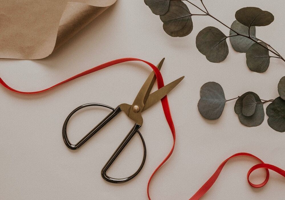 ハサミで紐を切る　植物