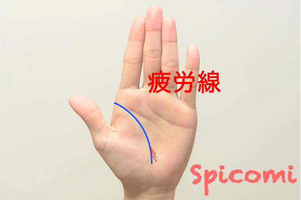 手相占いの疲労線