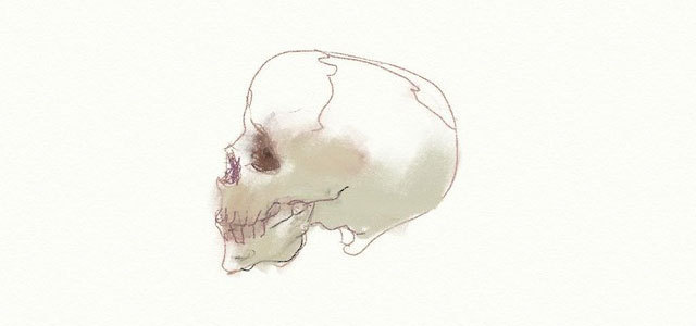 小町の髑髏（こまちのどくろ）