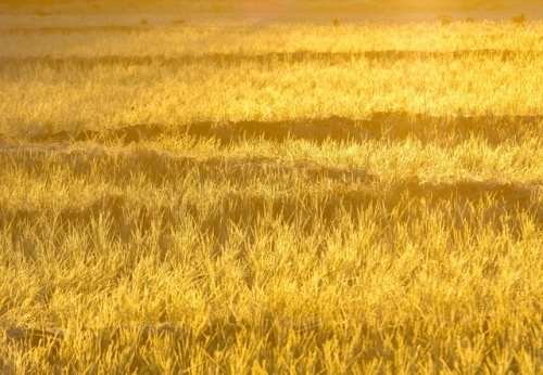 六白金星と七赤金星の相性