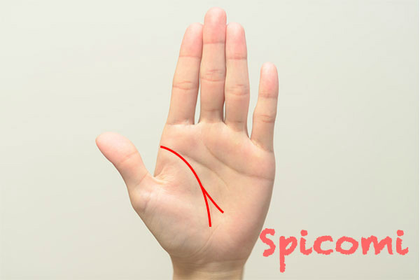 左手の生命線が枝分かれしているときの意味