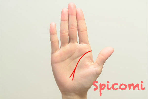 右手の生命線が枝分かれしているときの意味