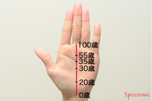 ［手相占い］運命線と年齢の見方