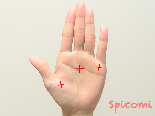 十字線(バツ)がたくさん