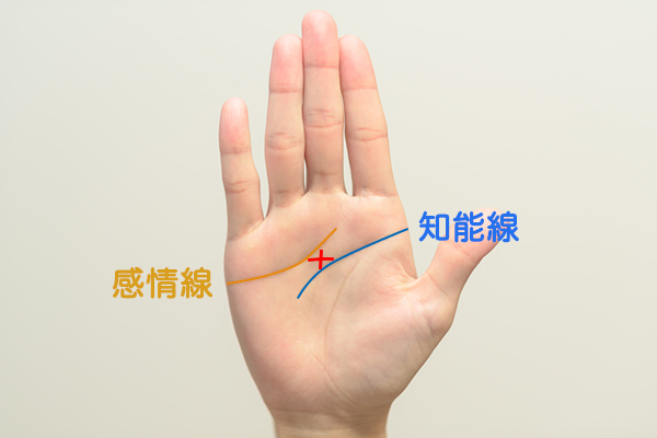 ［手相占い］神秘十字線