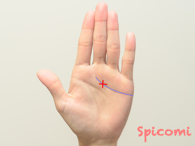 感情線上の十字線(バツ)