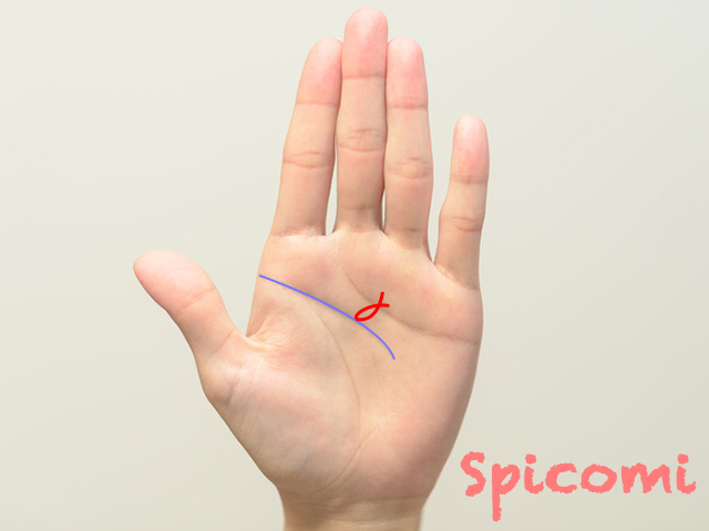 頭脳線(知能線)のフィッシュ