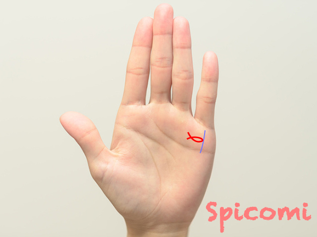 財運線のフィッシュ