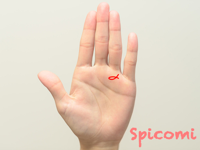 薬指の下(太陽丘)のフィッシュ