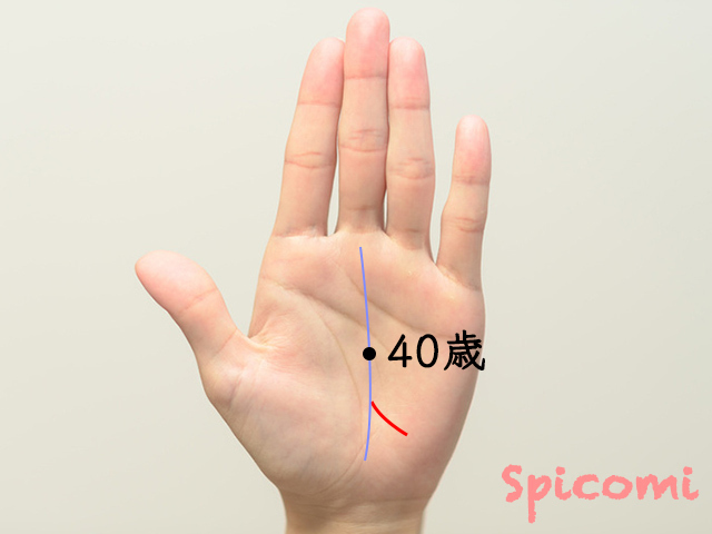 寵愛線の年齢時期の見方