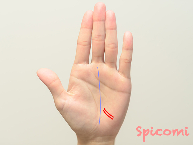 寵愛線が複数・2本