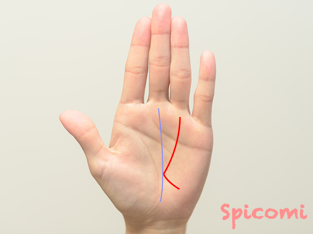 寵愛線から太陽線が伸びている