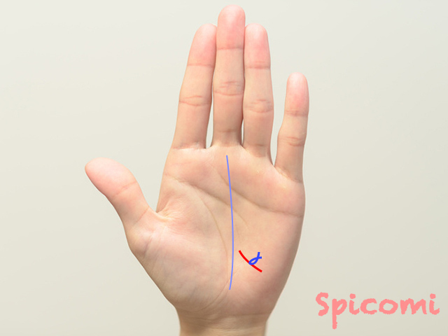 寵愛線にフィッシュ