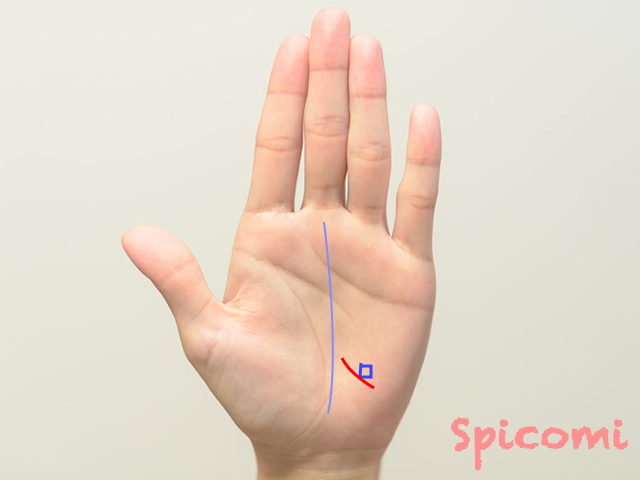 寵愛線にスクエア