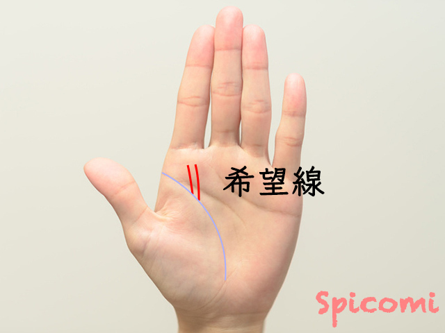 昇り龍線と希望線の違い