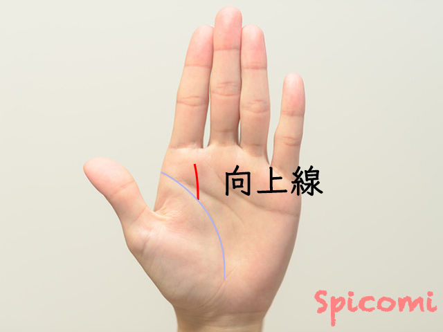 昇り龍線と向上線の違い