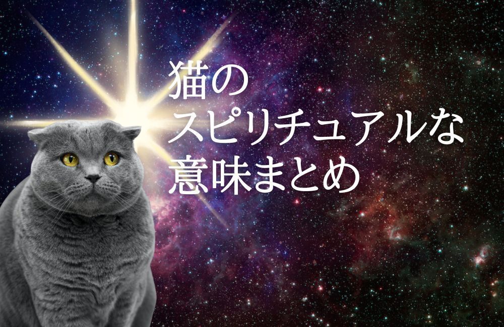 猫のスピリチュアルな意味と役割