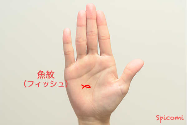 ［手相占い］フィッシュ（魚紋）