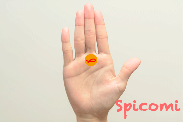 土星丘にフィッシュ（魚紋）がある