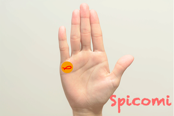 水星丘にフィッシュ（魚紋）がある