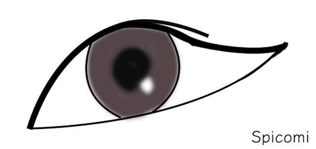 龍眼の人相学の意味と特徴は?