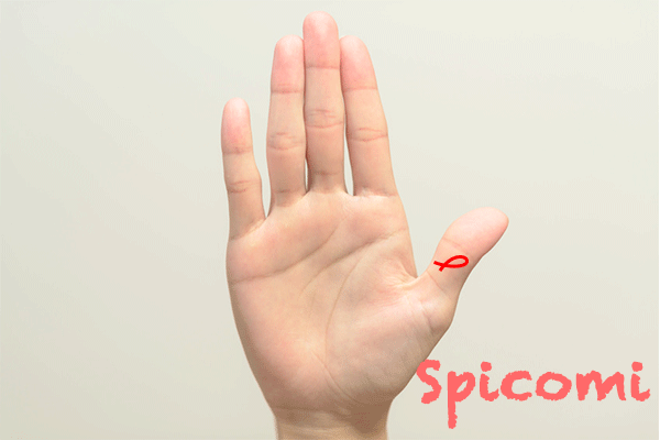 親指にフィッシュ（魚紋）がある