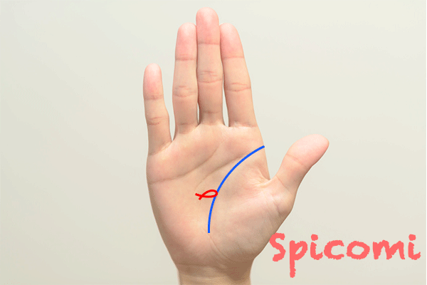 生命線にフィッシュ（魚紋）が接している