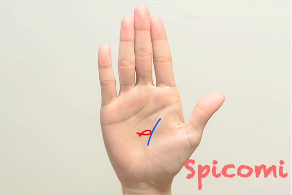 影響線にフィッシュ（魚紋）が接している