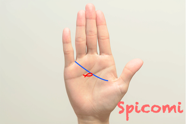 気付き線にフィッシュ（魚紋）が接している