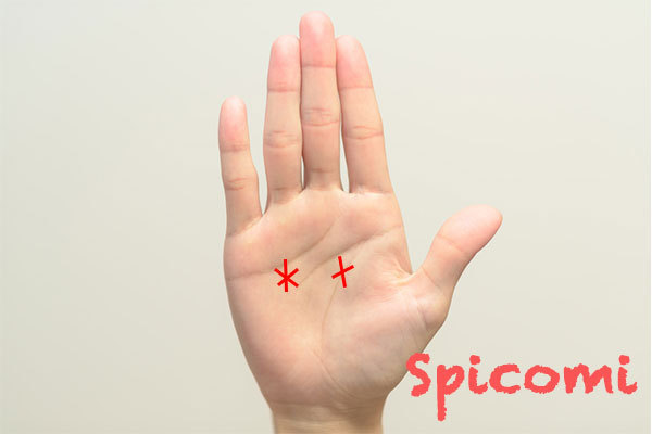 スター線（星紋）とクロス（十字紋）の違い