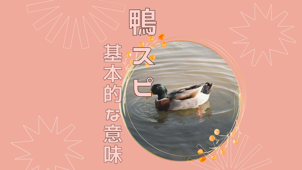 基本的な鴨を見る時のスピリチュアルな意味3選サムネイル画像