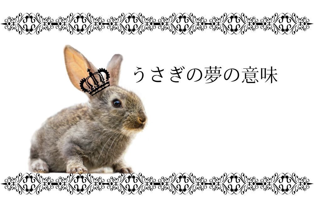 夢占いでうさぎの夢の意味とは？