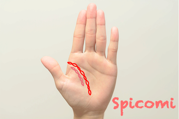 二重生命線が鎖状になっている