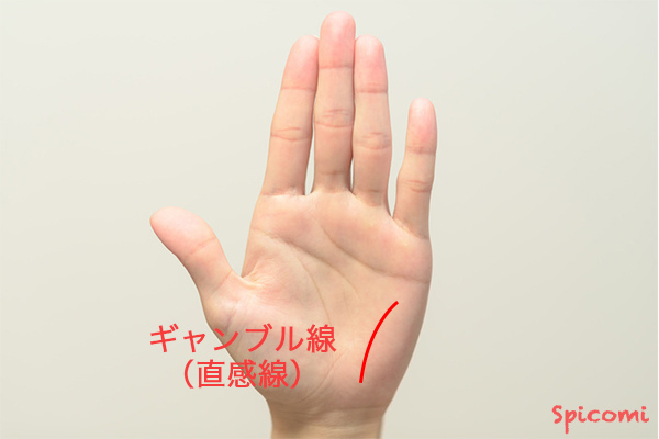［手相占い］ギャンブル線（直感線）