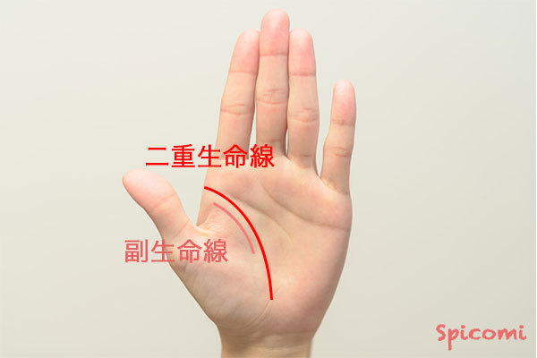 ［手相占い］二重生命線が短い場合