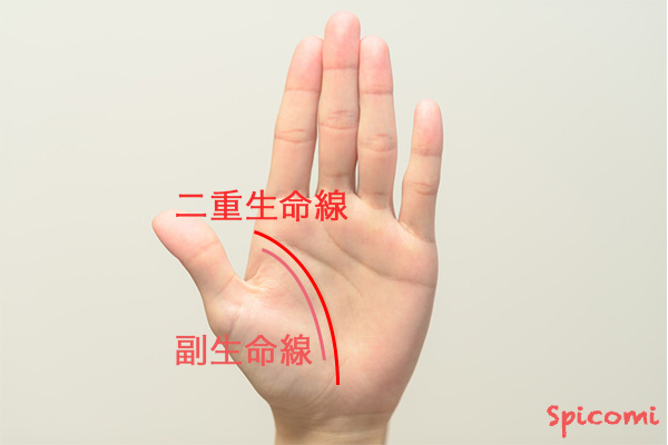 ［手相占い］二重生命線の副生命線が内側にある場合