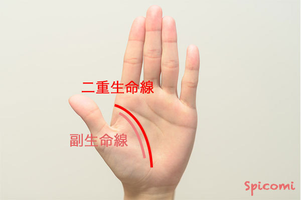［手相占い］二重生命線が濃い場合