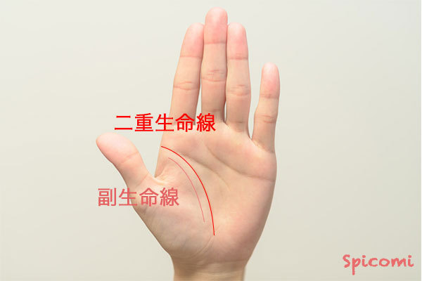 ［手相占い］二重生命線が薄い場合