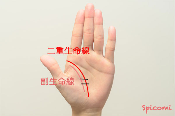 ［手相占い］二重生命線に横線が入っている場合