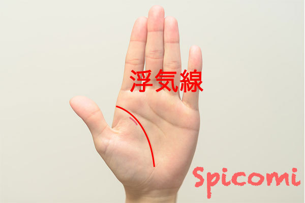 浮気線（情愛線）- 手相占い