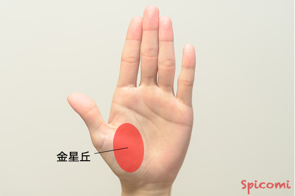 ［手相占い］金星丘