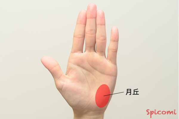 ［手相占い］月丘
