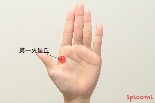 ［手相占い］第一火星丘