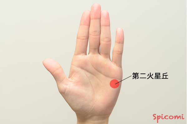 ［手相占い］第二火星丘