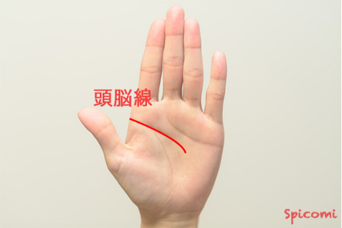 ［手相占い］頭脳線（知能線）