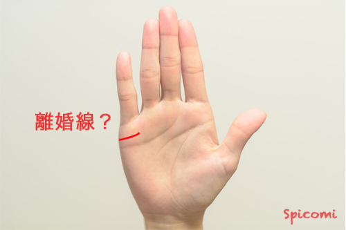 ［手相占い］離婚線